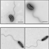 School Research Published in Nature Communications
