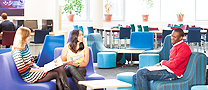 Students working in the library.
