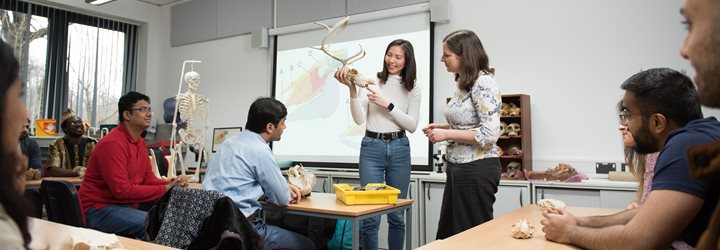 Holly Miller and postgraduate students in an Archaeology seminar