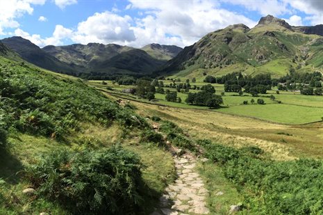 Unnamed Road, Ambleside LA22, UK, Cumbria, UK (Dave Lowe). A stone path weaves between green hills.