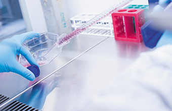 Postgraduate opportunities