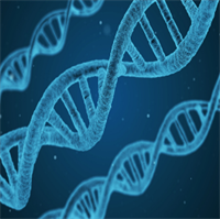 DNA strands