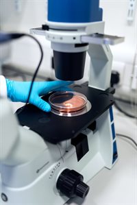 microscope