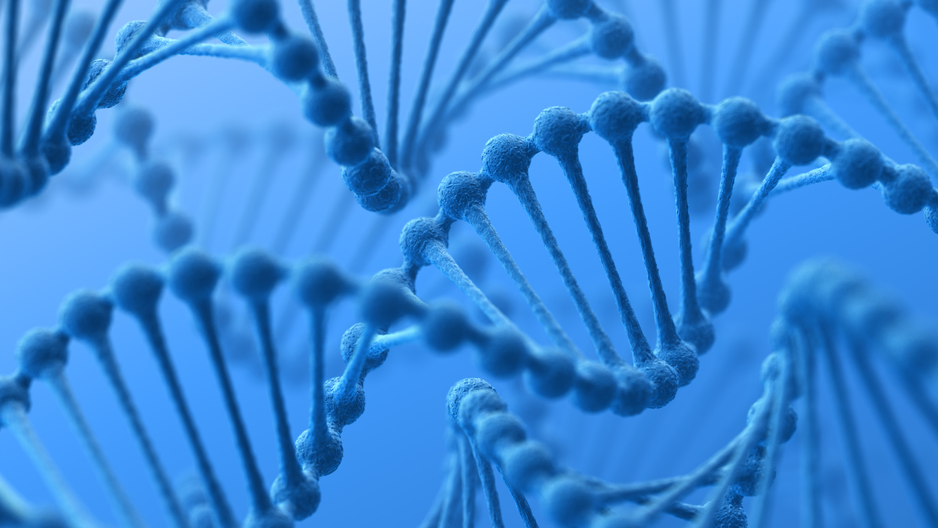 ISFP16072025dna