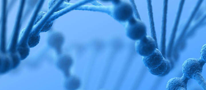 ISFP16072025dna