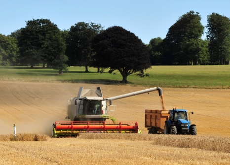 Combine harvester at work