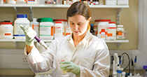 Postgraduate opportunities
