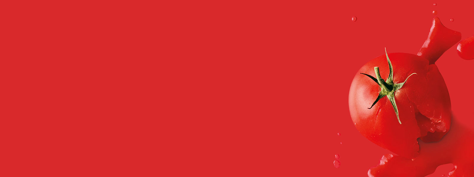 A tomato