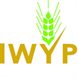 IWYP
