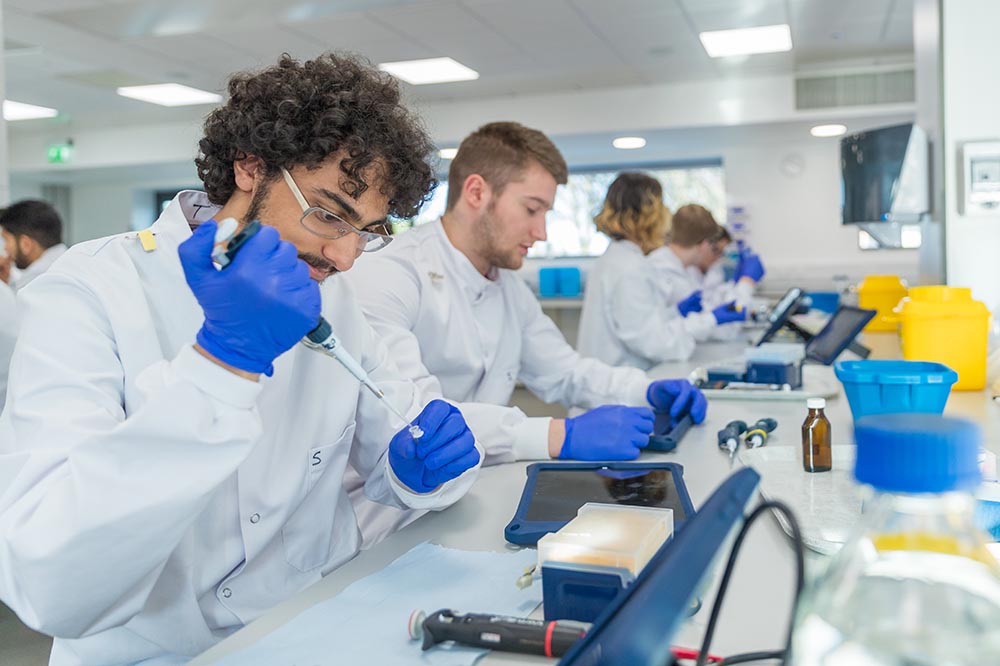 Undergraduate study