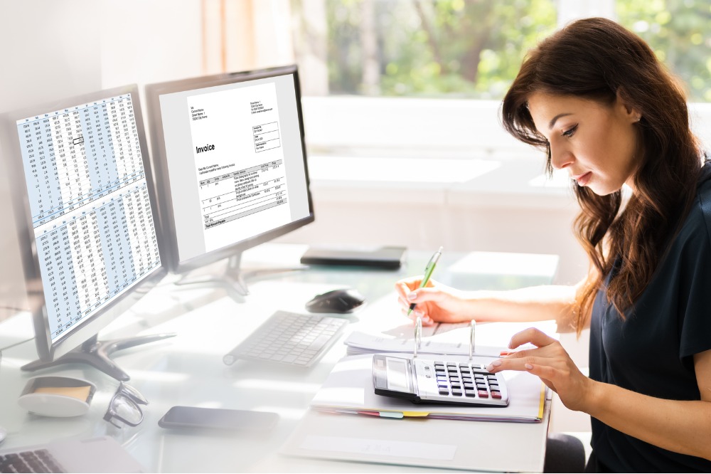 An accountant using software sat at computer