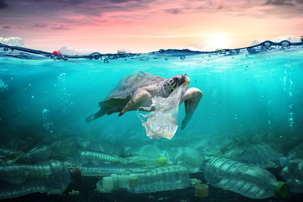 A turtle with plastic bag in mouth depicting the plastic pollution in our oceans
