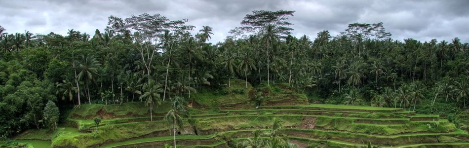 Ubud, Bali