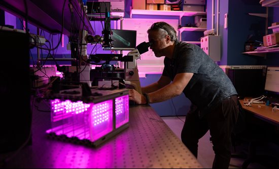 Dr Kevin Webb looking down a microscope in a laboratory