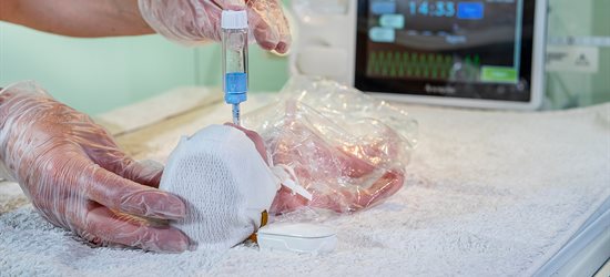 A newborn baby wearing a Surepulse cap