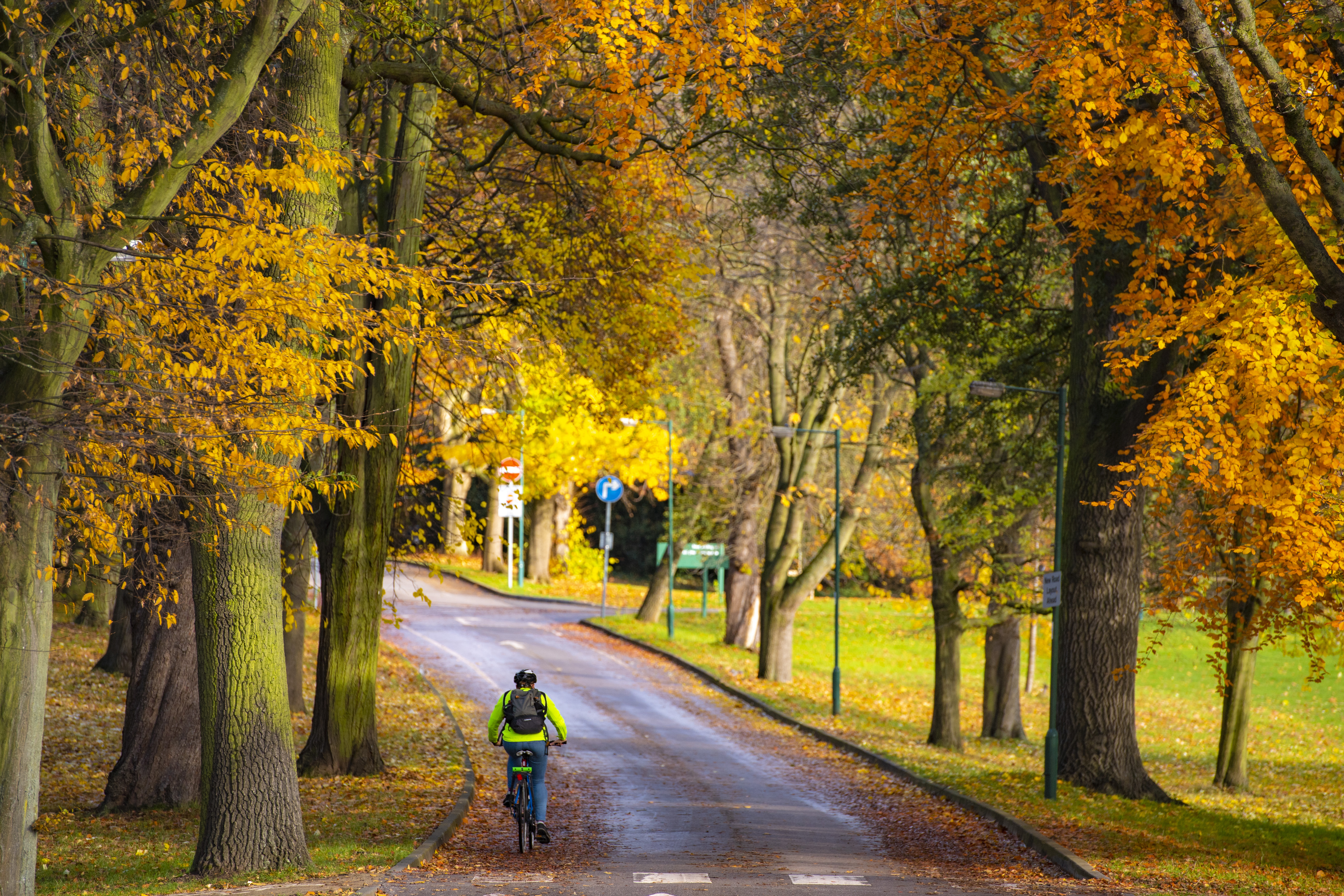 Person on a bike