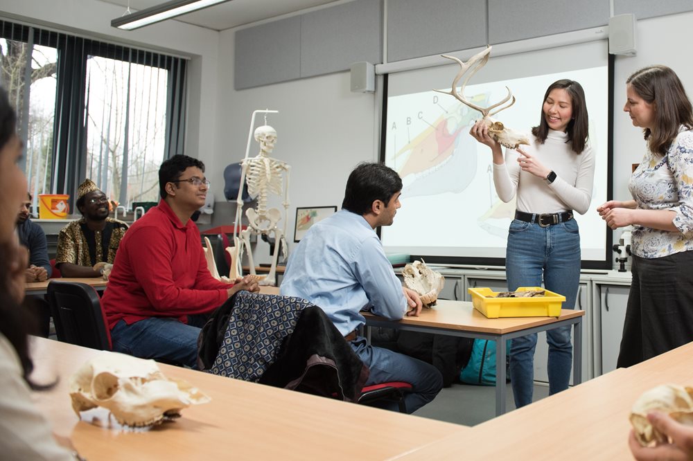 Holly Miller and postgraduate students in an Archaeology seminar