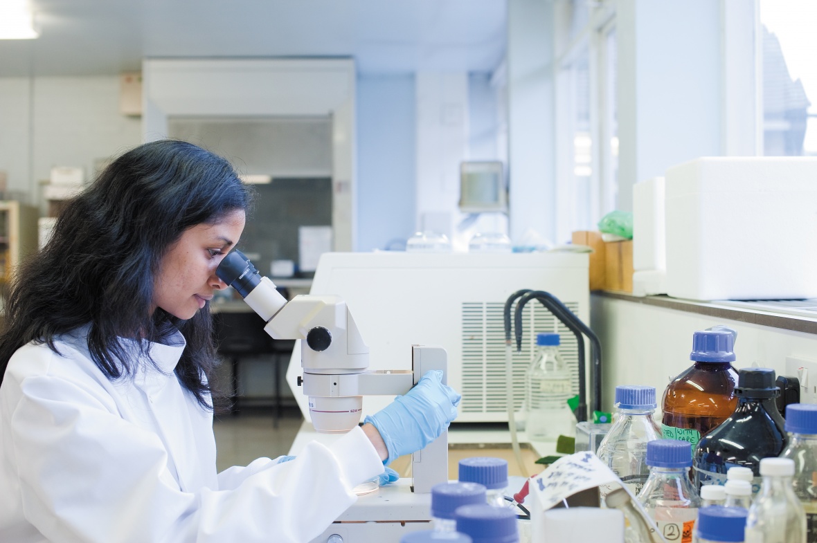 A student using a microscope