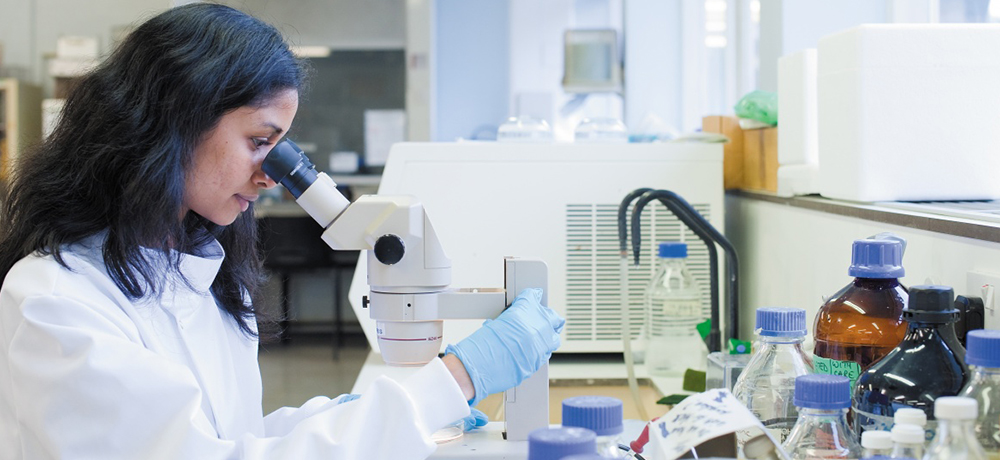 A pgr student looks through a microscope in a lab