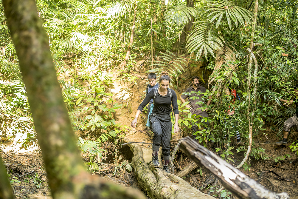 Students studying rain forest in Malaysia