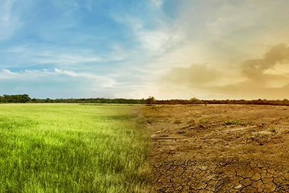 Landscape half healthy half polluted