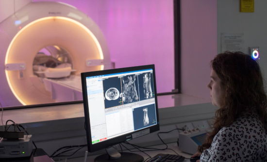 Researcher assessing MRI scan results