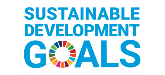 Sustainable Development Goals Logo