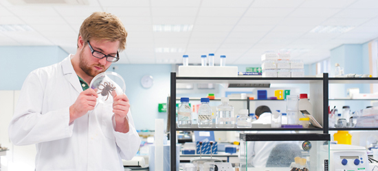 technician in lab
