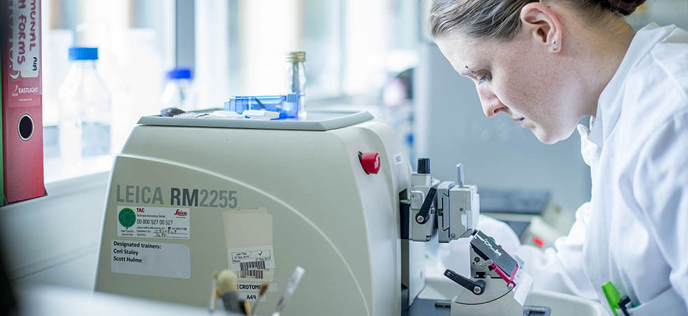 Postgraduate research student in a lab