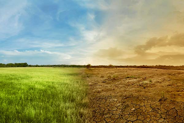 Fields and trees but with clean and sustainable on one side, polluted and dry on other