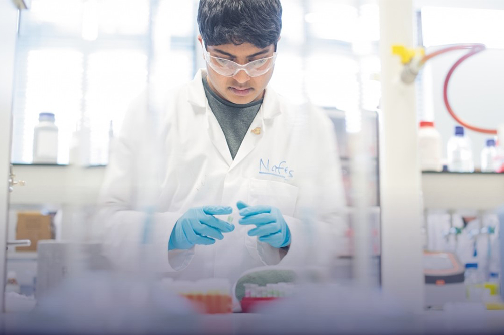Student working in laboratory