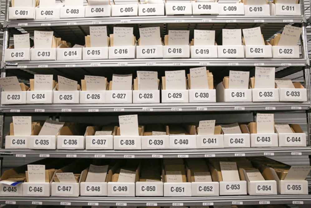 seed store