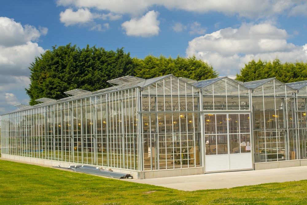 glasshouse